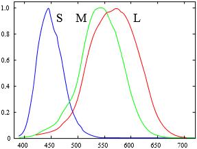 Normalized Responsivity of Cone Cells